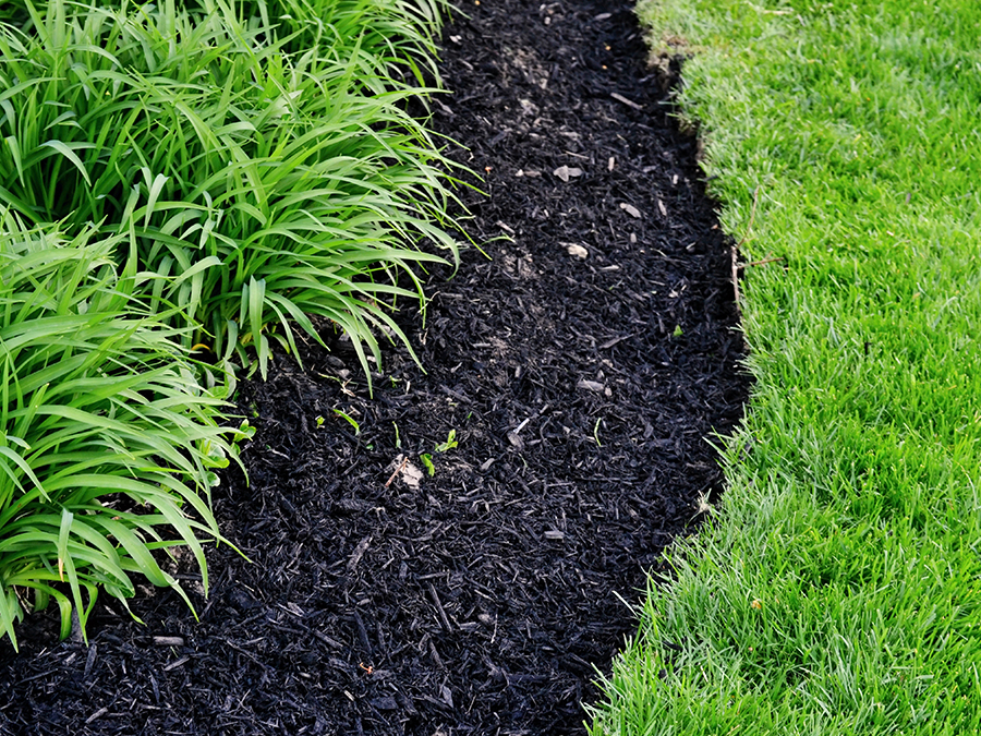 Hendricks Landscape Grounds Maintenance Phoenix Arizona