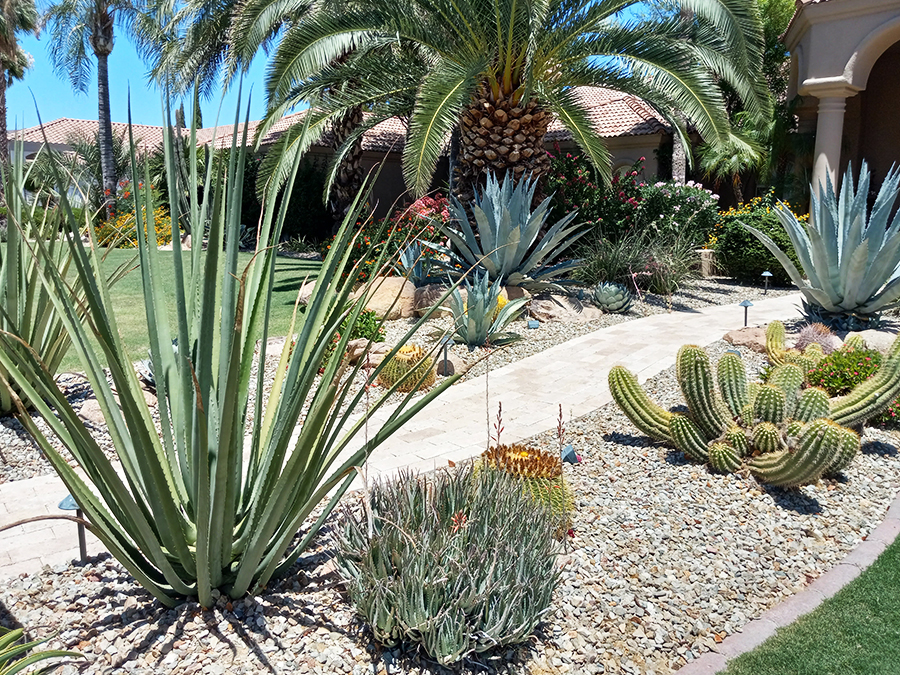 Hendricks Landscape Grounds Maintenance Phoenix Arizona
